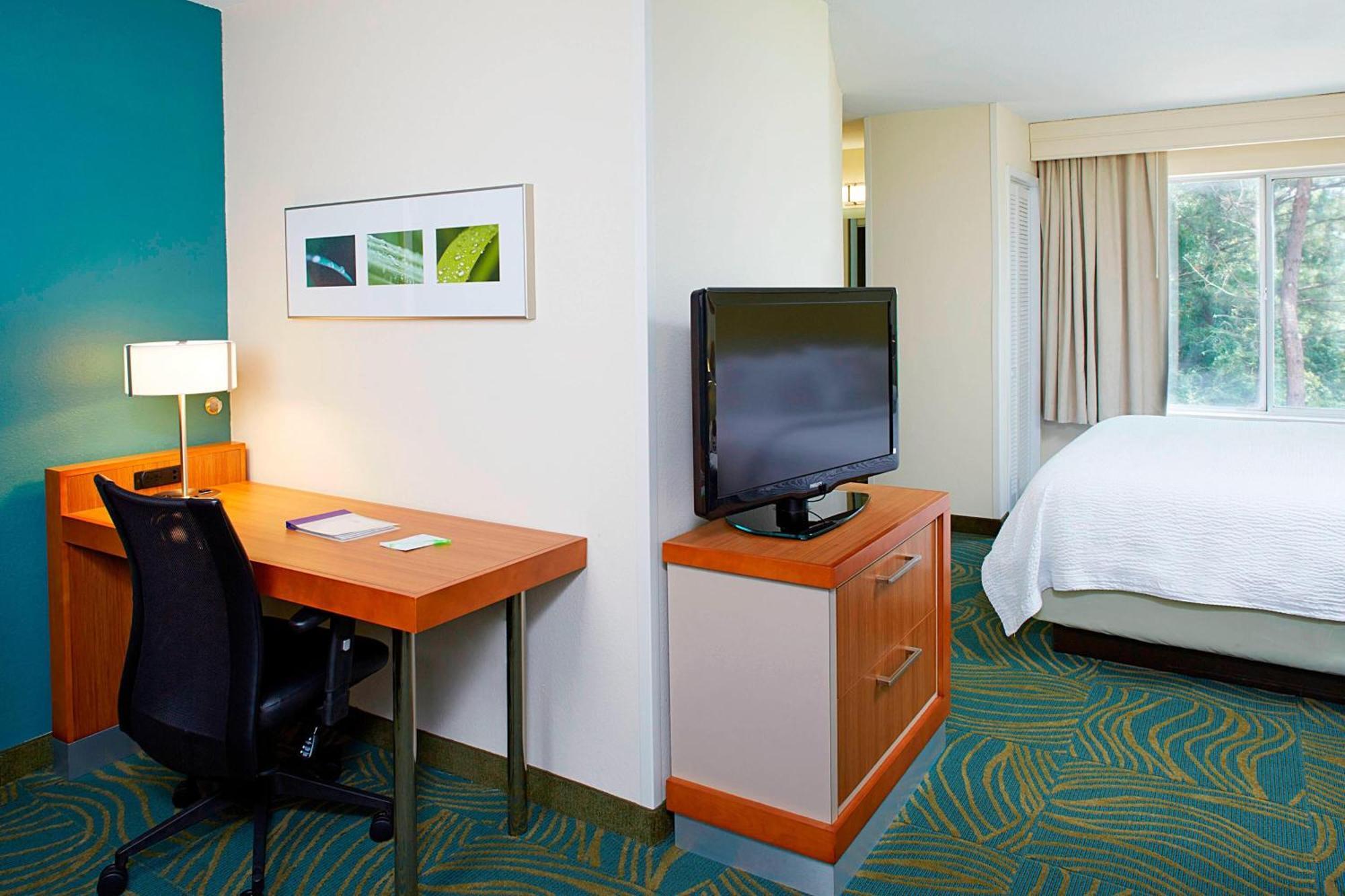 Springhill Suites By Marriott Atlanta Six Flags Lithia Springs Kültér fotó