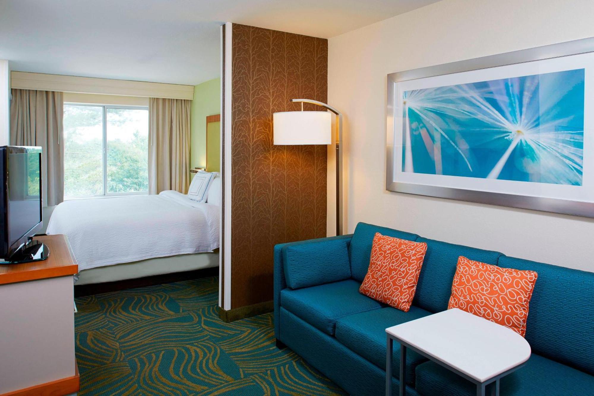 Springhill Suites By Marriott Atlanta Six Flags Lithia Springs Kültér fotó